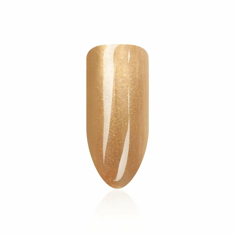 Farbgel ,,Metallic Golden Queen" von Trendnails 5ml (TPO-free)