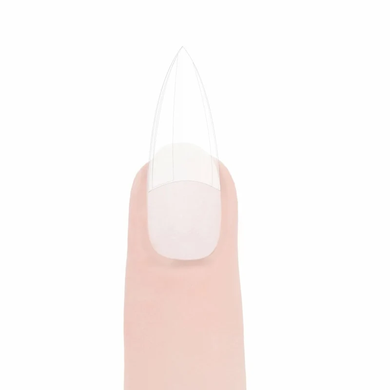 100er Almond Tip-Box Mandel Clear von Trendnails