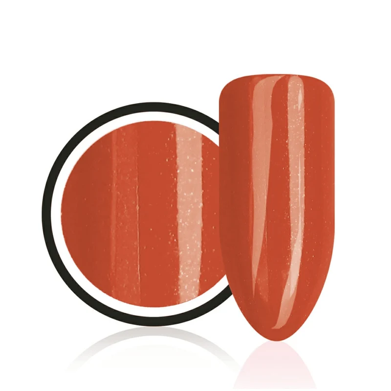 Farbgel ,,Chinese Holiday" von Trendnails 5ml (TPO-free)