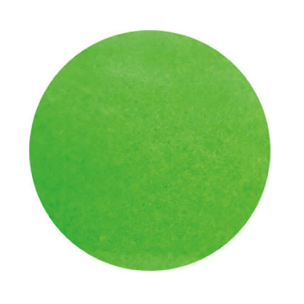 SNS Dipping Powders - #264 Geico Lizard