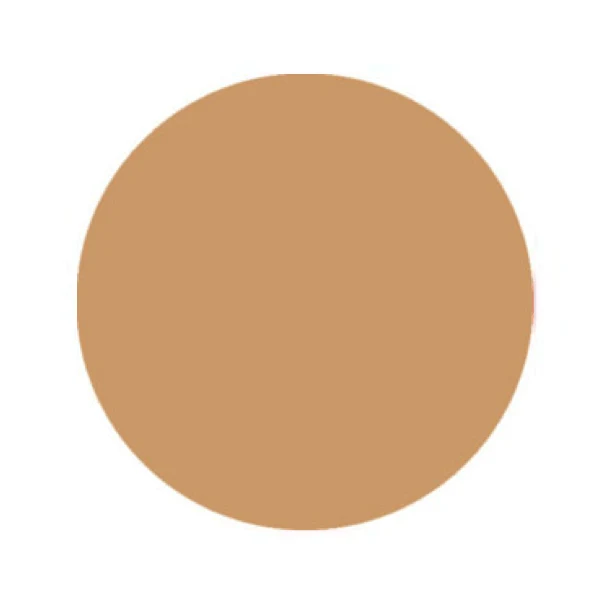 SNS Dipping Powders - #342 Cookie Batter