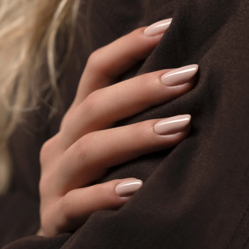 0345 Biscotto - BIOGEL