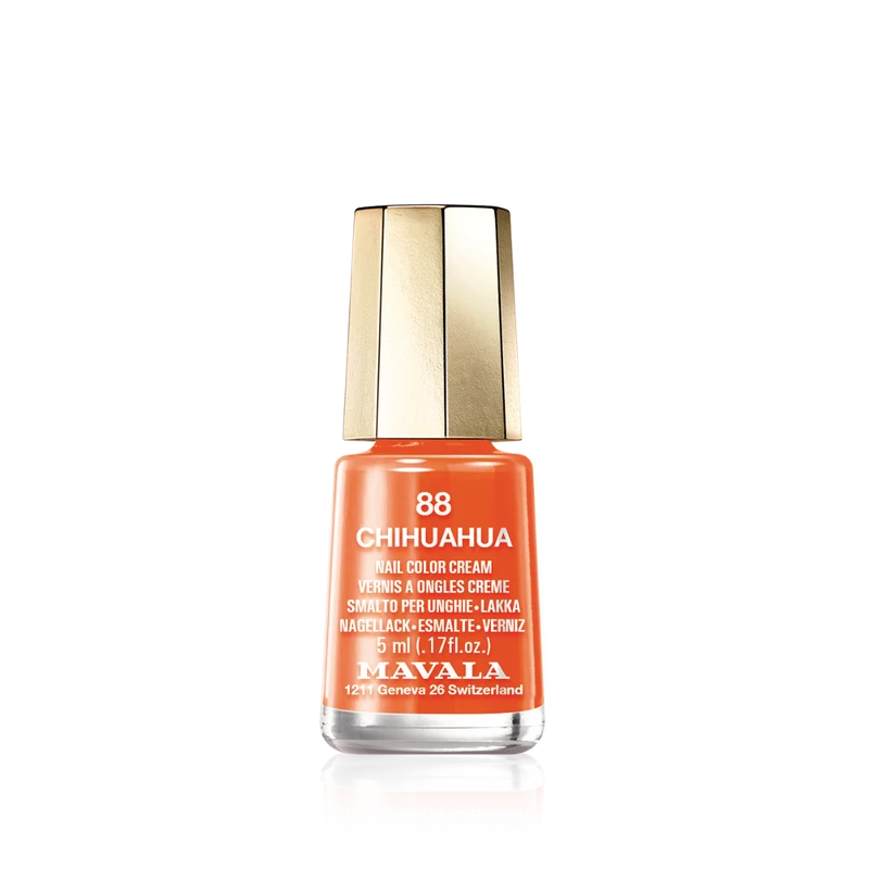 Mini Color Nail Polish Orange