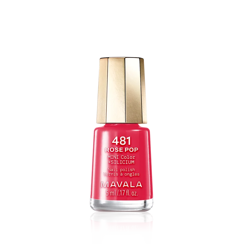 Mini Color Nail Polish Pink