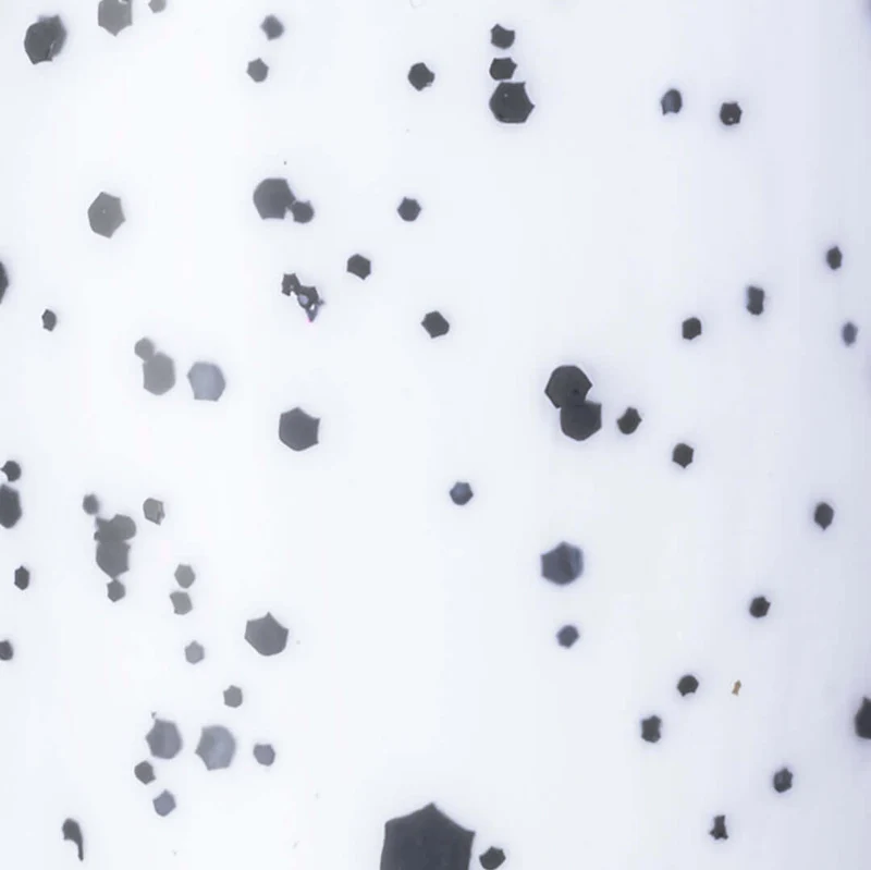 EVO Speckled Black Matte Top Coat