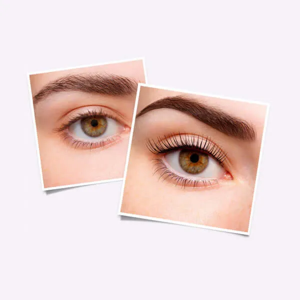 Wimpernlifting LVL - Schulung