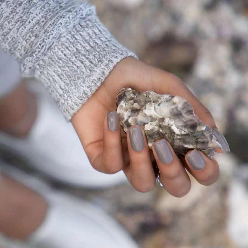 0294 Oyster Shell - BIOGEL