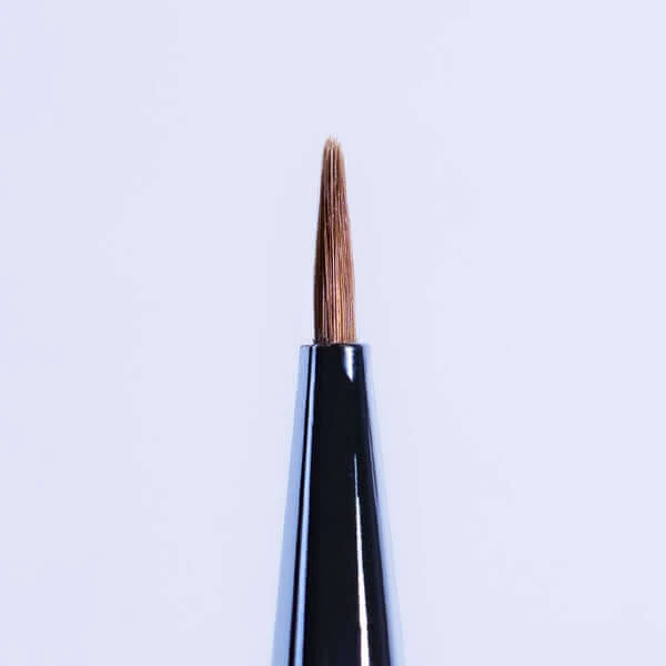 Nail Art Brush