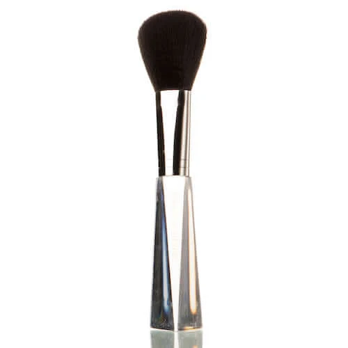 Dusting Brush