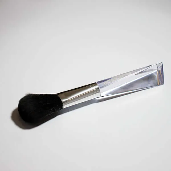 Dusting Brush