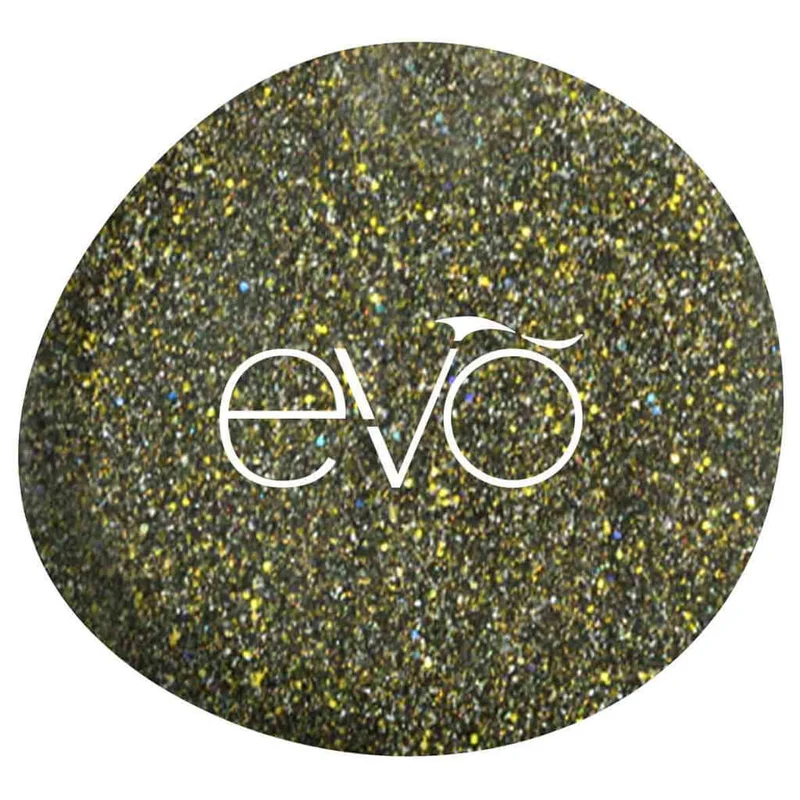 0133 Inbar - EVO