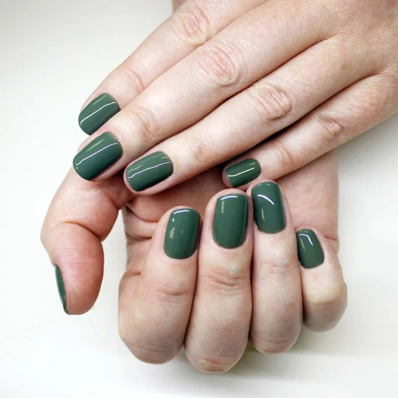 0225 Hazy Forest - BIOGEL