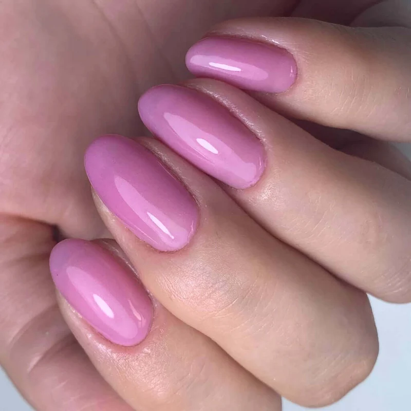0121 Cupcake Carnation - BIOGEL