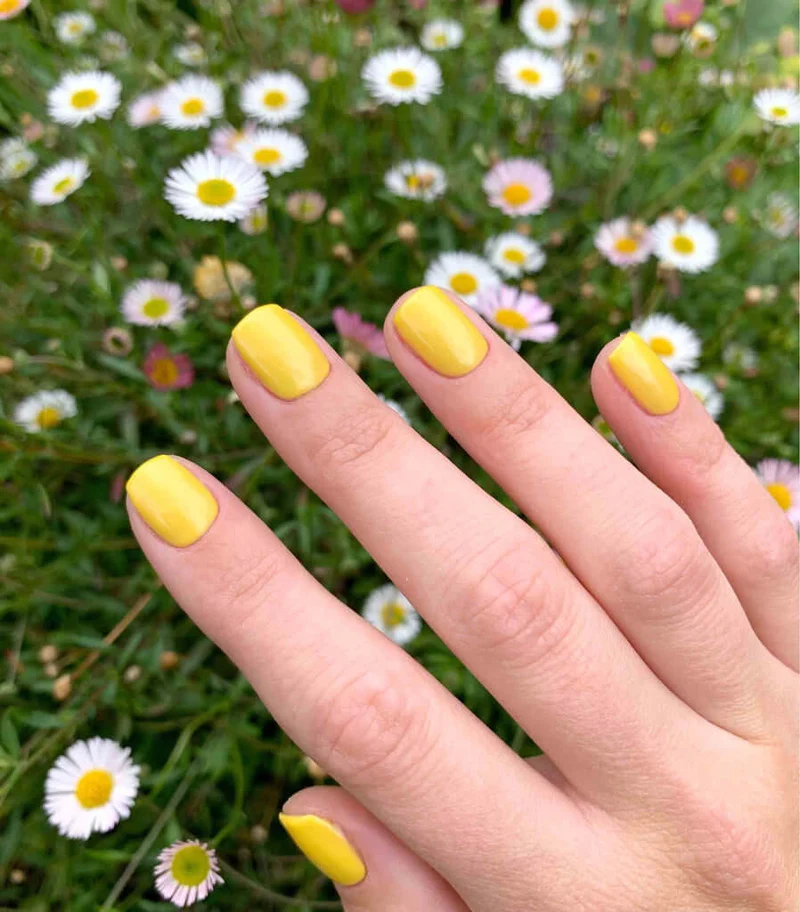 2030 Daffodil - BIOGEL