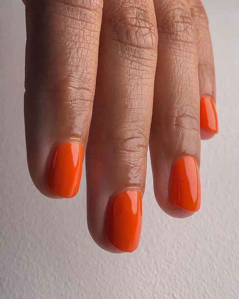 2028 Tangerine - BIOGEL