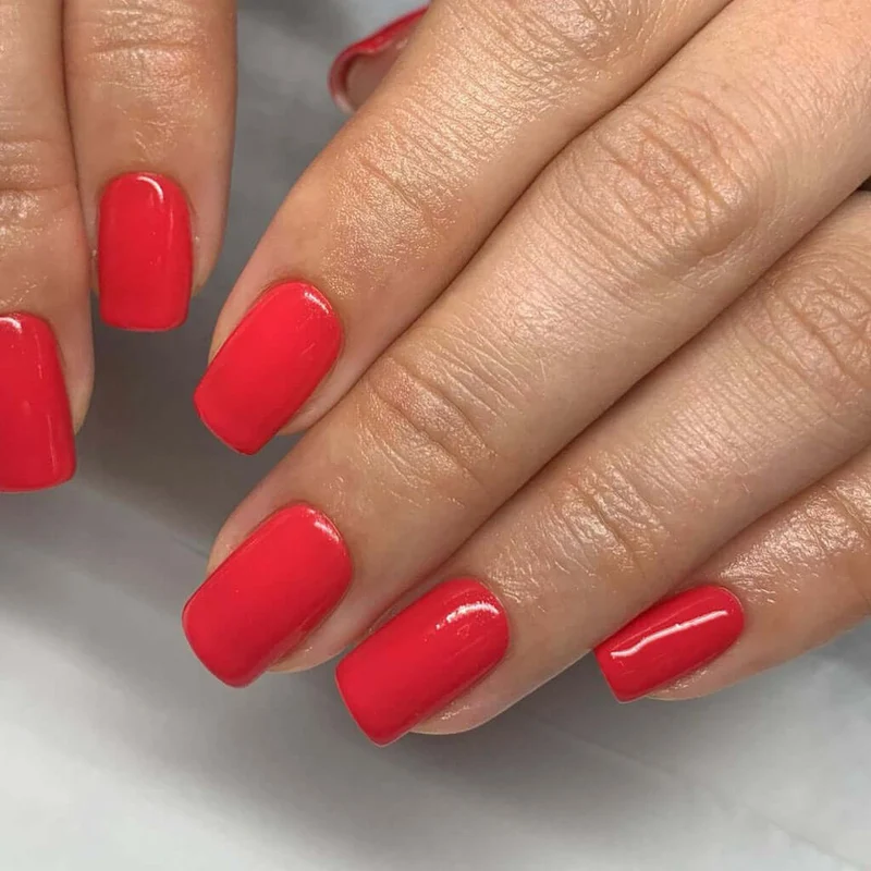 0096 Summer Holiday - BIOGEL