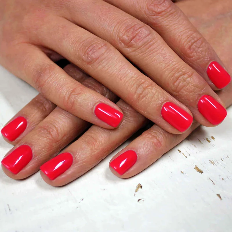 0095 Spring Splash - BIOGEL
