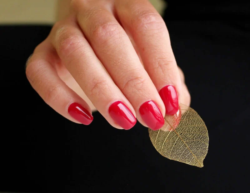 0211 Wild At Heart - BIOGEL