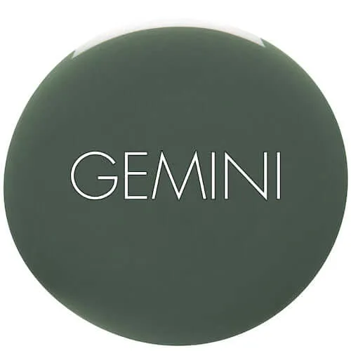 0225 Hazy Forest - GEMINI