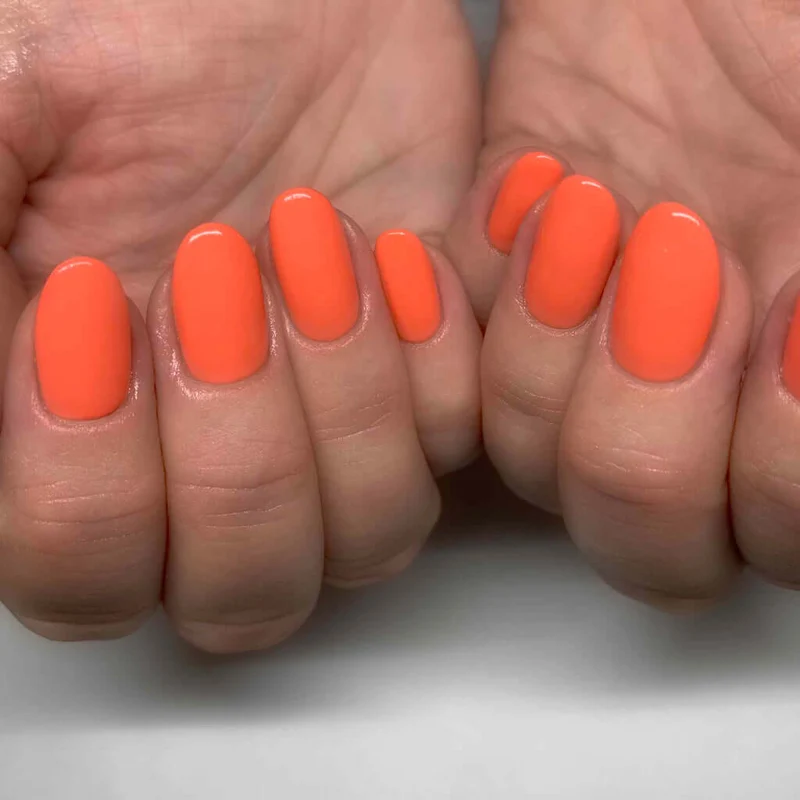 2002 Coral - BIOGEL