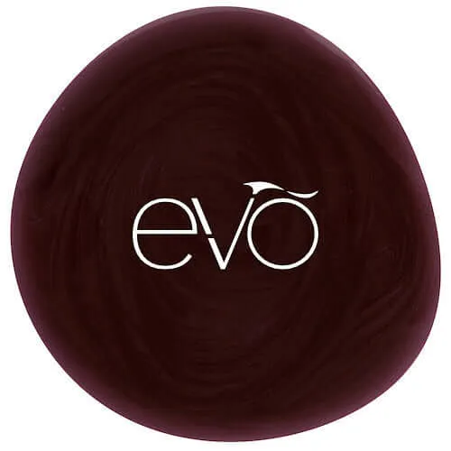 0024 Michelle - EVO
