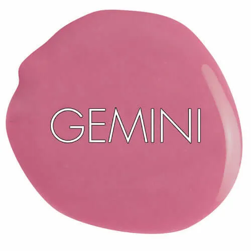 0121 Cupcake Carnation - GEMINI