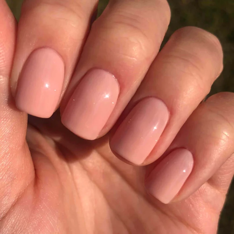 2065 Sweet Candy Breath (F) - GEMINI