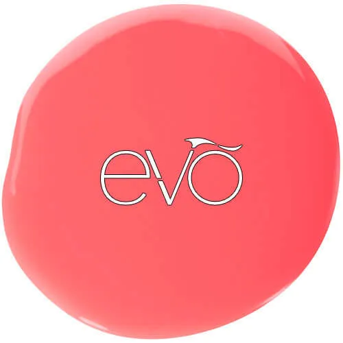 0072 Pippa - EVO