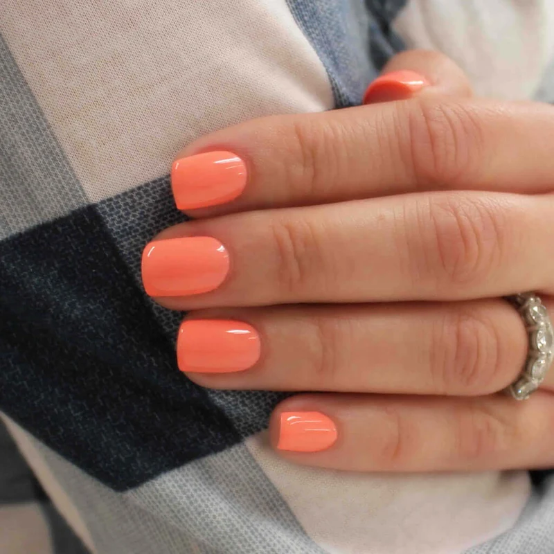 0249 Coral Cluster - BIOGEL