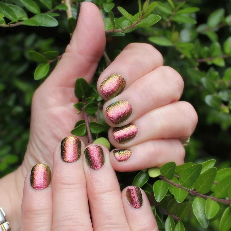 0245 Venus - BIOGEL