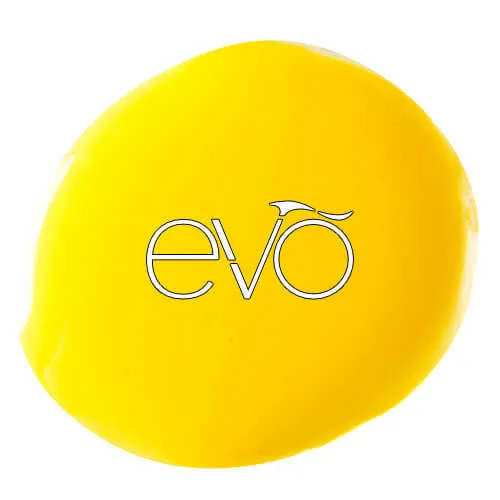 0046 Muriel - EVO