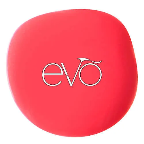 0043 Chelsea - EVO