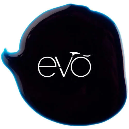 0028 Sophia - EVO