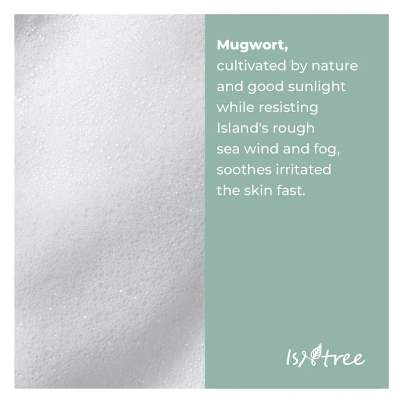 Isntree Mugwort Calming Powder Wash 25g, Pack of 25's
